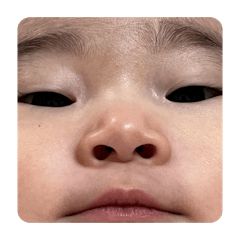 reina_20260423152857