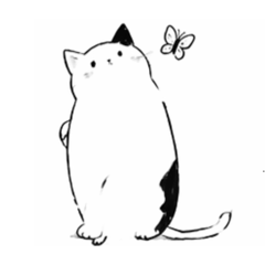 Cow not cow_20260423145908