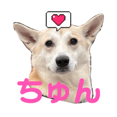 Tsumu stickers ver.1