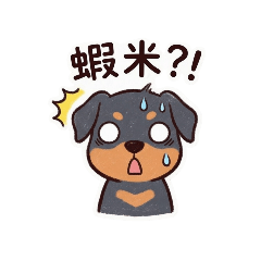 杜賓哈魯（日常）