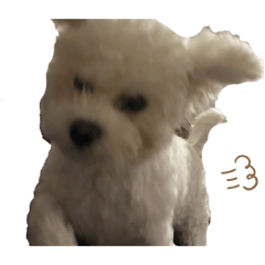 blanc_20260423222822