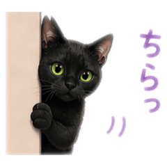 Rin-chan Daily Cat Stickers