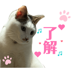 lovely_20260423222839