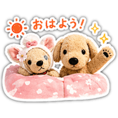 POTITA_20260423222742