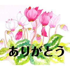 母の手描き花スケッチと日常の挨拶