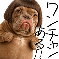 おかっぱブルの日常(毎日すごく使える返信)