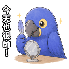 藍紫金剛鸚鵡｜日常