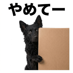 Mudi 真心話貼圖 - 搞笑 - AG