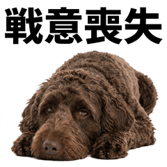 Labradoodle 真心話貼圖 - 搞笑 - AG