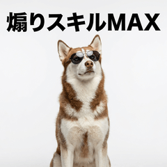 毒舌技能MAX Siberian Husky - AG