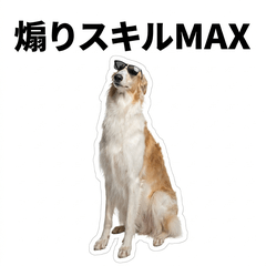 毒舌技能MAX Borzoi - AG