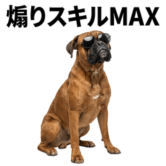 毒舌技能MAX Boxer - AG