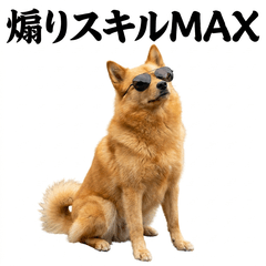 毒舌技能MAX Finnish Spitz - AG