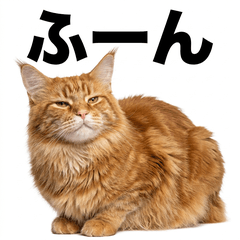 Red Maine Coon鹽對應貼圖 - AG