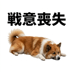 Icelandic Sheepdog 真心話貼圖 - 搞 - AG