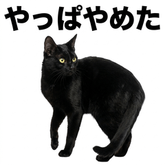 Black Cat 鹽系貼圖 - AG