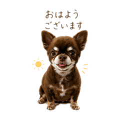 &teruco._20260423154734