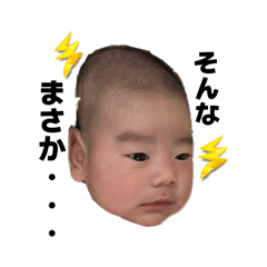 ogshiho_20260423154334