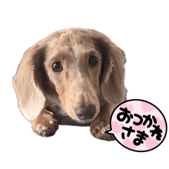 NAKANO_20260423155247