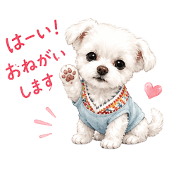 okappi_20260423155112