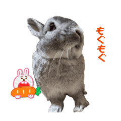 IKEDA_20260423155935