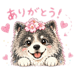 ma-san_20260423214016