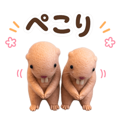 Missan!_20260423214356