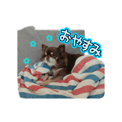 yuuum_20260423214525