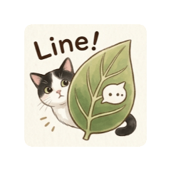 跳噗雙貓-跳跳-從從容容