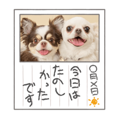 LuckyStar_20260423161309