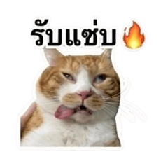 Kanlayanee_20260423151638