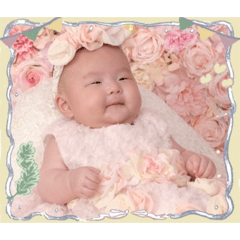 bunting_20260423161249