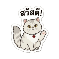 Bencha S_20260423153750