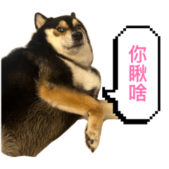 林柴寶の日常生活