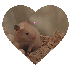 miruk_20260423220212