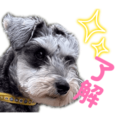 GONDAWARA_20260423220902