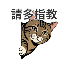 Harley 貓咪哥（工作與日常）