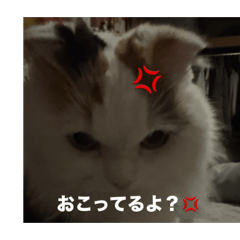 mwg'g_20260423221439