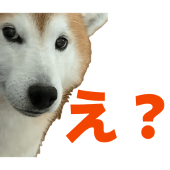 Kubojun_20260423220807