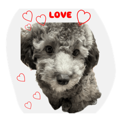 mina ando_20260423164550