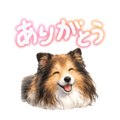 takato_20260423164443