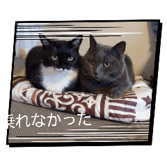 jacchan_20260423165155