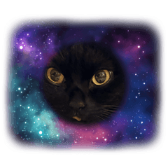 hrkchy___20260423165525