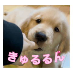 apoao_20260423164706