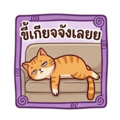 Meow A NUD