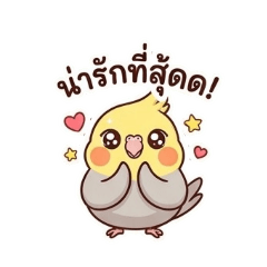 Bow'w_20260423171741