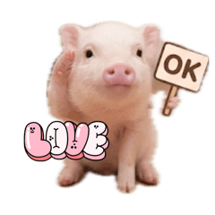 chame_20260423225712