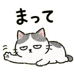 A cat who is not very motivated