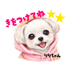 chan_haru_20260423225915