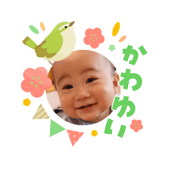 mayumi_20260423233103